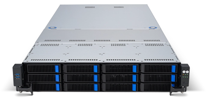 ASUS 2U Single AMD –RS521A-E12-RS12U